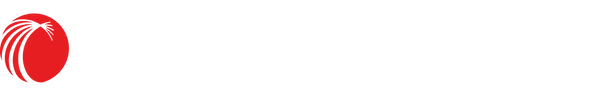 Visualfiles logo